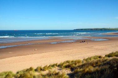 Bir grup turist geniş deniz kıyısı boyunca yürüyor. Uzaktan bir manzara. Ufukta bir kargo gemisi beliriyor. Ön planda otlar büyümüş..