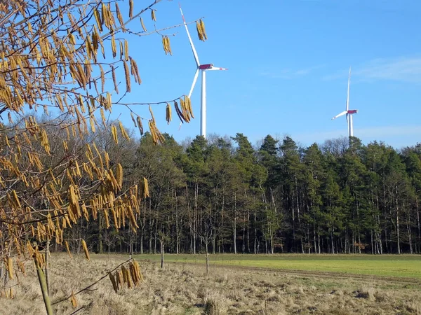 Rüzgardan Elektrik Üreten Iki Yel Değirmeni Orman Ağaçlarının Üzerinde Görülebilir — Stok fotoğraf