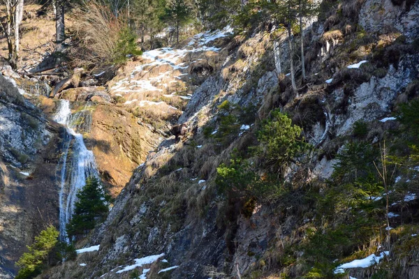 Slope Rocky Mountain Distance Stands Mountain Goat Small Waterfall Winter — Stock Photo, Image