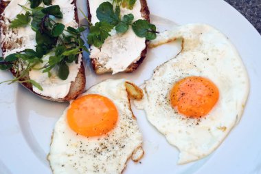İki yumurta ve sandviçten yapılmış yağlı yumurtalar ve beyaz tabakta mikro yeşillikler. Ev yapımı kahvaltıya bir örnek.