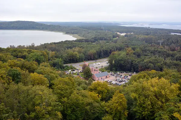 Drone view of a large forest near a lake and a car park with a building in the center. View in perspective