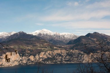 Arka planda dağların önünde geniş bir nehir var. Ön planda kalın ağaçlarla dolu bir park var. Resimli doğal manzara.