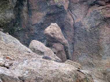 Rocky Gri arka plan yakın plan. Yukarıdan görüntüle
