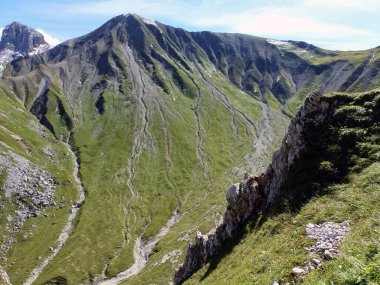 Yeşil çimenler ve dağınık taşlar yüksek dağların yamaçlarında yetişir. İnsansız hava aracı görüntüsü. Resimli doğal manzara.