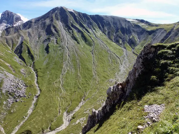 Yeşil çimenler ve dağınık taşlar yüksek dağların yamaçlarında yetişir. İnsansız hava aracı görüntüsü. Resimli doğal manzara.