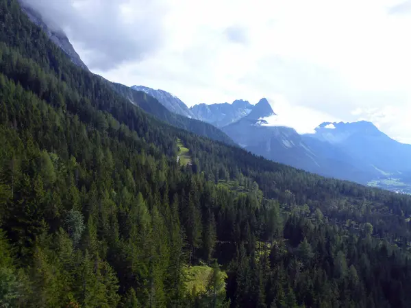 Yoğun yeşil ormanlar yüksek dağların yamaçlarında yetişir. Resimli bir doğal manzara ve dağ yürüyüşü için bir yer.