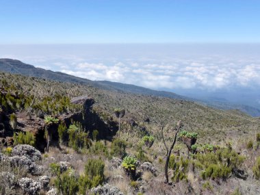 Dağ yamacından, uçsuz bucaksız bulutların uçtuğu yerin aşağısına bir manzara. Dağlardaki tırmanış ve yürüyüş rotaları için doğal manzara.