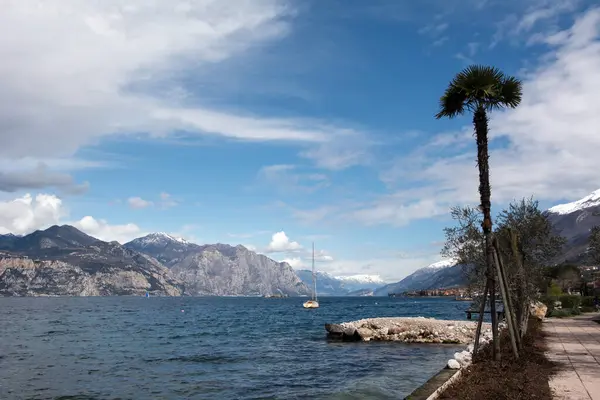 Bir yelkenli yatı, arka plandaki dağlara ve mavi gökyüzüne karşı bir körfez boyunca yol alır. Ön tarafta bir gezinti güvertesi ve bir palmiye ağacı var. Deniz turizmi manzarası