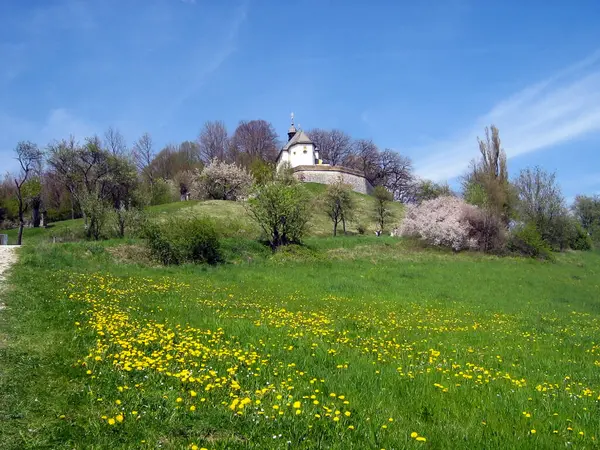 Yaz ağaçlarının arasındaki tepede, parktaki eski kilise mavi gökyüzünün arka planına karşı. Ön planda çiçekli bir çayır var.