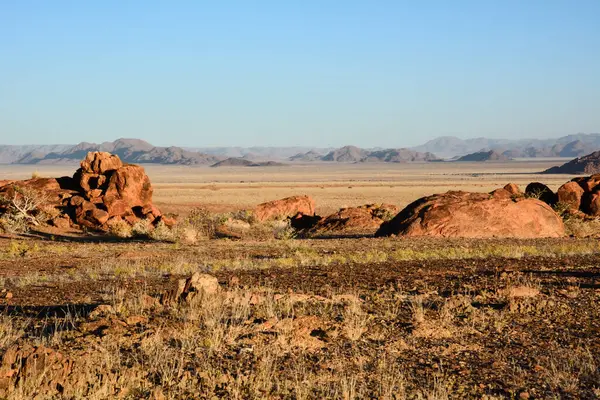 A rocky surface in a desert area with small plants under a clear sky. Small mountains in the distance