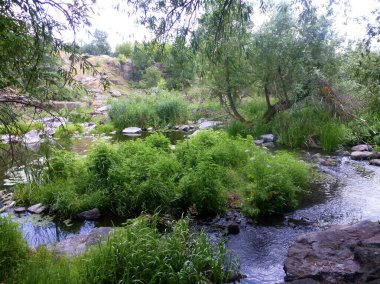 Taşların ve çimenlerin etrafında akan küçük bir nehrin durgun suları olan bir doğa koruma alanında sessiz bir yer. Güzel yerlerin doğal aydınlık yaz manzarası