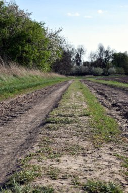 Tarlaların yakınındaki açık gökyüzü altında kırsal alanda kirli yol