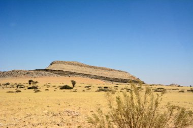 Sıcak çöl manzarası. Ön planda kuru, ıssız çalılar ve kum var. Arka planda açık mavi gökyüzünün altında uzak dağlar var.