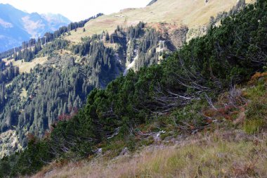 Uzakta, teleferik iletişimi orman kaplı dağın yeşil yamaçları boyunca uzanıyor. Yaz turist manzarası