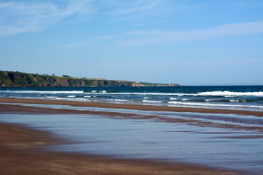 Geniş kumlu bir sahil, üzerinde ışık dalgaları akan temiz kumlar. Deniz yazı manzarası. Gökyüzü bulutsuz berrak