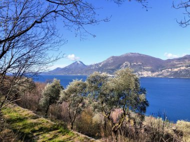 Resimli bir deniz koy ve dağ sırasının bir kısmı parkın ağaçlarının arasından görülebilir. Yaz turist deniz manzarası