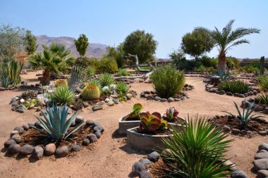Dekoratif çiçek yataklarında otelin dekorasyonu ve dekorasyonu için çeşitli sulu bitkiler ve kaktüsler yetişir. Sıcak iklim ve doğa