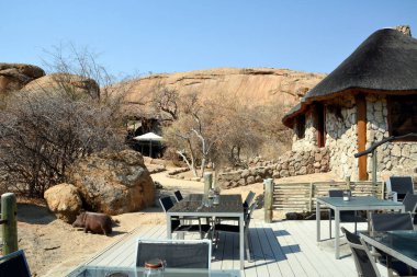 Çöldeki otelin bölgesinde, masaları, dinlenecek yerleri ve doğal manzarası olan bir çardak. Mavi gökyüzünün altında yaz turist manzarası