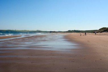Açık mavi gökyüzünün altında turistlerin yürüdüğü geniş kumlu bir sahil. Yaz turist manzarası