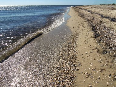 Kumsal, çakıl taşları ve parlak güneşin altında perspektifli küçük deniz kabuklarıyla kaplı. Yaz turist manzarası