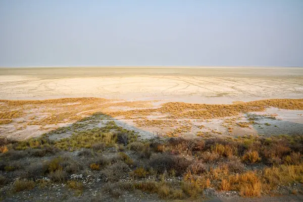 stock image Panorama view of endless desert with yellow sand and dry grass in foreground under clear blue sky. Dehydration and drought