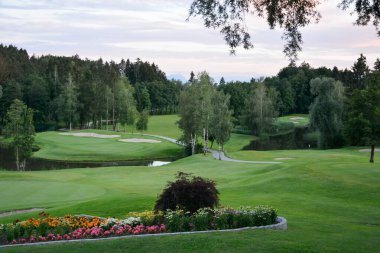 A view of a golf course with a beautiful green lawn and a path near the trees. In the foreground is a flower bed. Leisure and outdoor sports. Summer natural landscape clipart