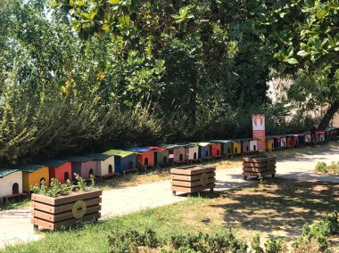 Şehir parkında bir sıra renkli köpek evi perspektifi. Evcil hayvanlara bakmak.