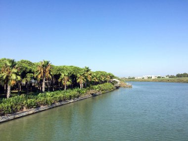 Nehrin, temiz mavi gökyüzünün altında palmiye ağaçları ve bir parka bakan manzarası.