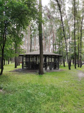 Şehir parkındaki yeşil çimlerin arasında büyük bir çardak. Doğada dinlenme ve dinlenme yeri.