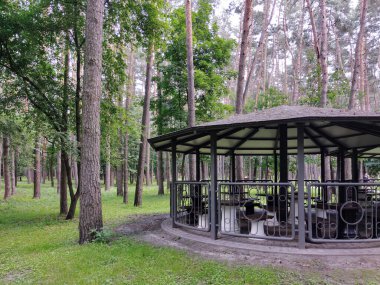 Şehir parkındaki ağaçların yanındaki bankları ve masaları olan büyük bir çardağın parçası. Doğada dinlenme ve dinlenme yeri.