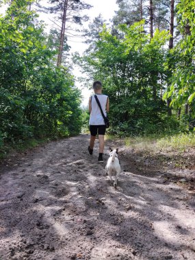 Genç bir çocuk ormanda Jack Russell Terrier köpeğiyle toprak yolda yürüyor. Bakış açısına göre. Evcil hayvanlar ve aktif eğlence.