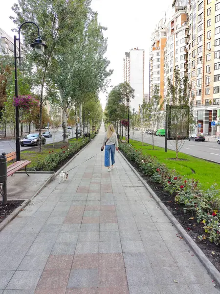 stock image A blonde girl walks along the boulevard in perspective with a Jack Russell dog between the flower beds. Rear view