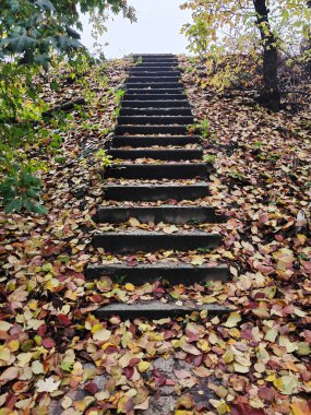 Parktaki boş taş merdivenler yoğun bir şekilde renkli sonbahar yapraklarıyla kaplı. Parkın doğal manzarası