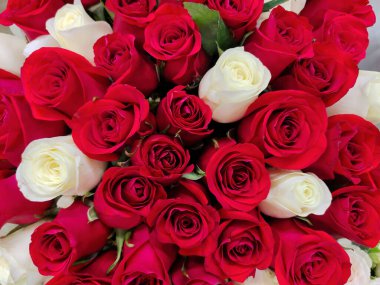 Taze kırmızı ve beyaz gül tomurcukları çerçevenin dört bir yanında tatil hediyesi olarak duruyor. Yukarıdan görüntüle