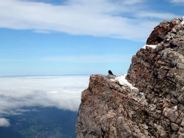 A crow bird sits on the slope of a snowy stone mountain cliff above a precipice. Against the background of the blue sky and white clouds. Below is a picturesque landscape clipart