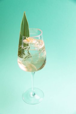 a beautiful alcoholic cocktail from the barman of the restaurant