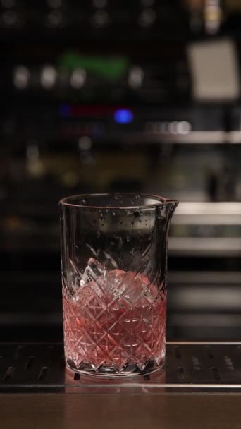 Bartender Prepares Cocktail Macro Shooting — Stockvideo