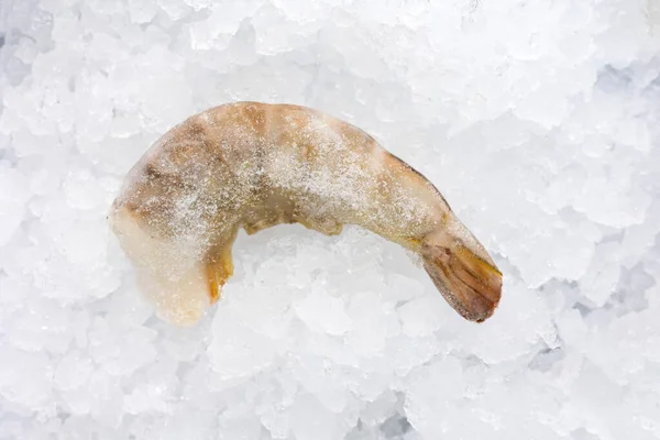 frozen seafood in a fish shop