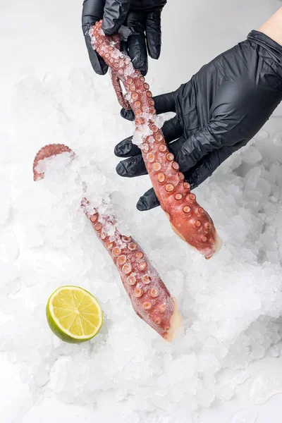 frozen seafood in a fish shop