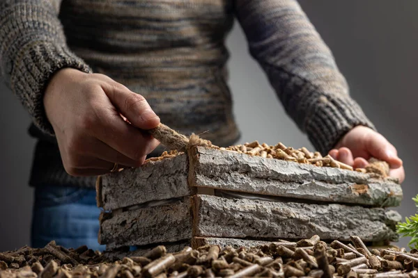 木質ペレットの生産 木材燃料の一種 — ストック写真