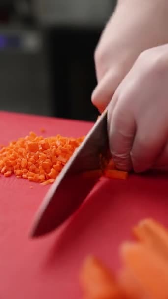 Chef Cuts Carrot Red Board — Stock Video