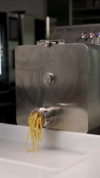 Chef Kok Bereidt Pasta Voor Keuken — Stockvideo