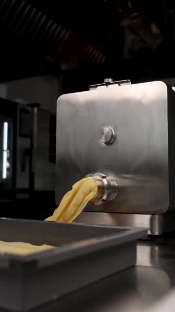 Kuchař Připravuje Lasagne Kuchyni — Stock video