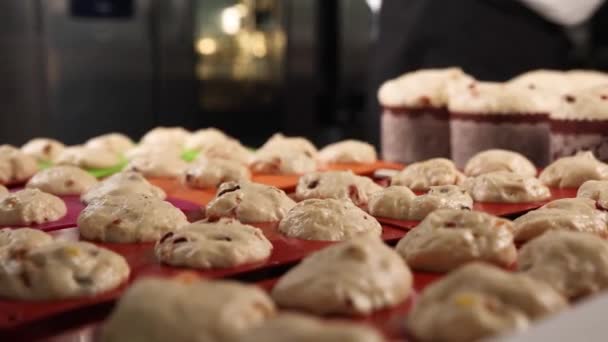 Koki Menyiapkan Kue Paskah Dapur — Stok Video