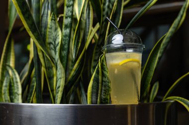 Tahta bir masada limon ve buz dolu bir bardak su.