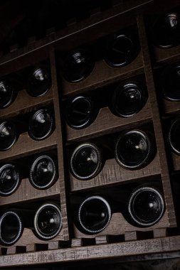 Karanlık bir arka planda nefis bir alkollü kokteyl.