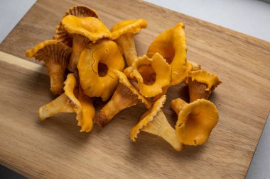 Çiğ mantar mantarı. Kapat.