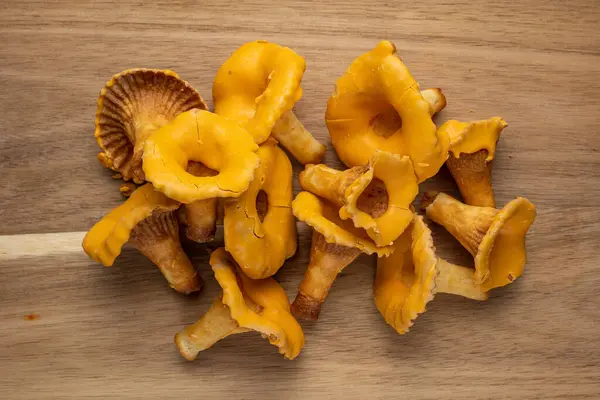 Çiğ mantar mantarı. Kapat.