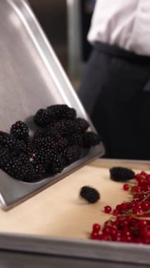 Şef dondurmak için böğürtlen hazırlar. Yakın plan.