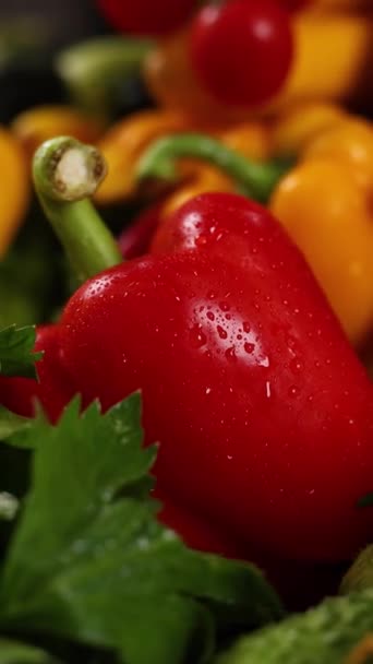Hermosas Verduras Cocina Cerca — Vídeos de Stock